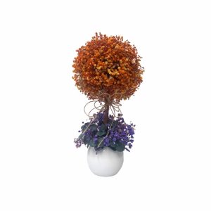 Ref. 20