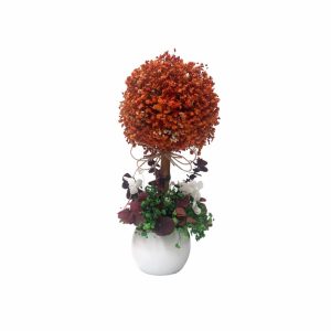Ref. 22