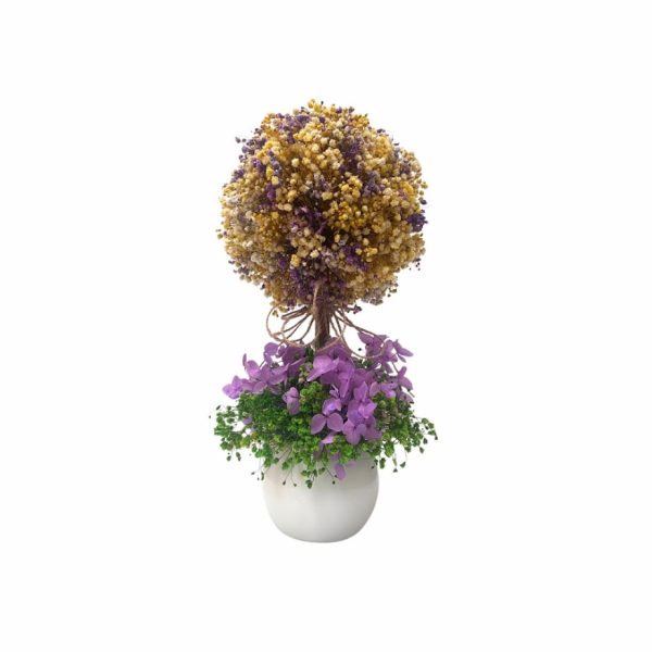 Ref. 23