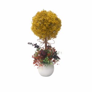 Ref.25