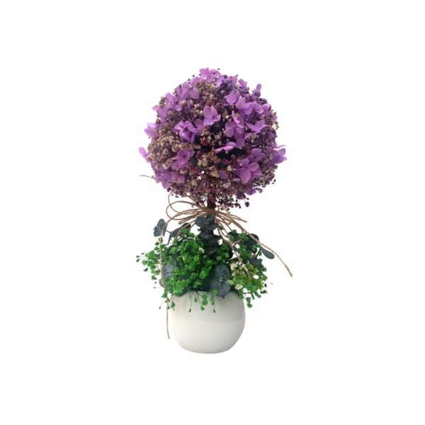 Ref. 27