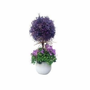 Ref. 29