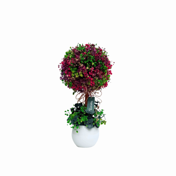 Ref. 52 - Image 2